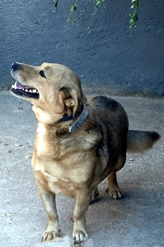 Gero_02_333x500_inPixio