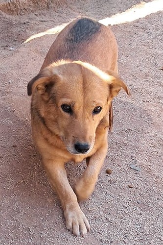 Gero_03_333x500_inPixio