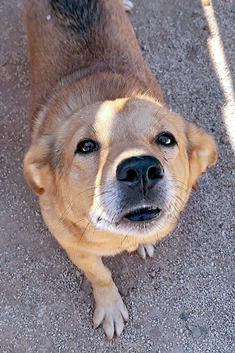 Gero_04_333x500_inPixio