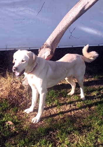 Umut_1_350x500_inPixio