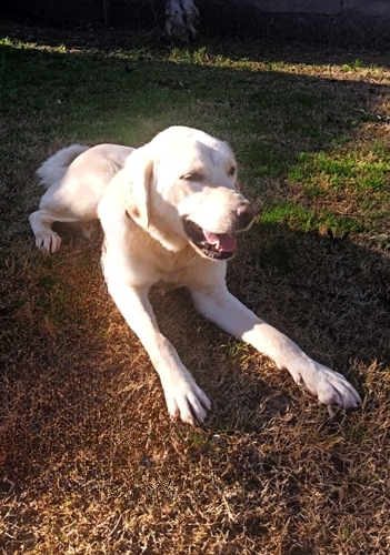 Umut_2_350x500_inPixio